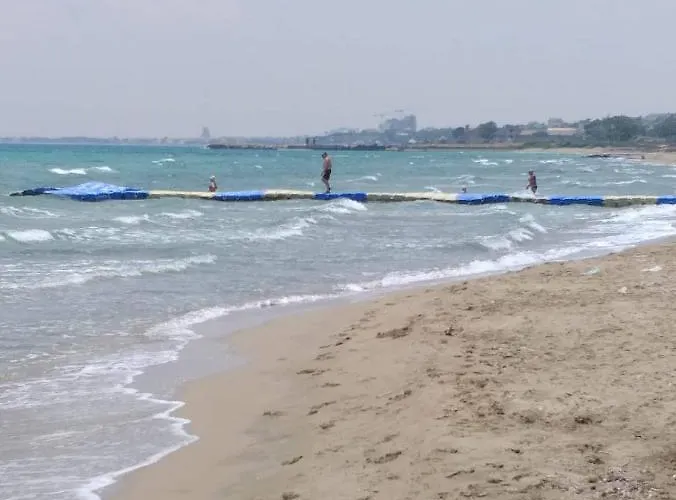 Jade F Bl. Zemin D - 6 Daire